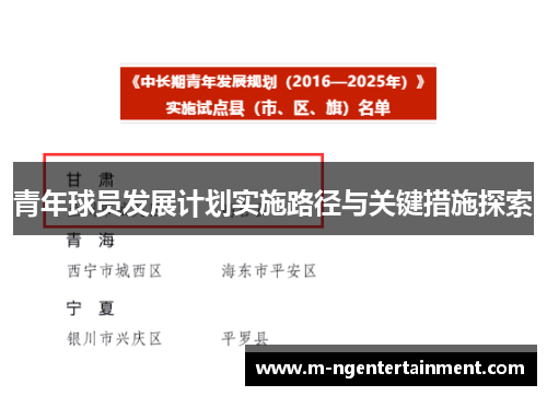 青年球员发展计划实施路径与关键措施探索