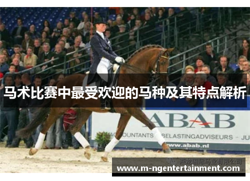 马术比赛中最受欢迎的马种及其特点解析